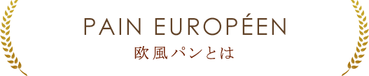 欧風パンとは