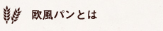 欧風パンとは？